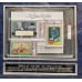 Item #0417 Star Wars Signed Laserdisc & Items Framed Display - Hamill, Ford, Fisher, Lucas & More! - PSA